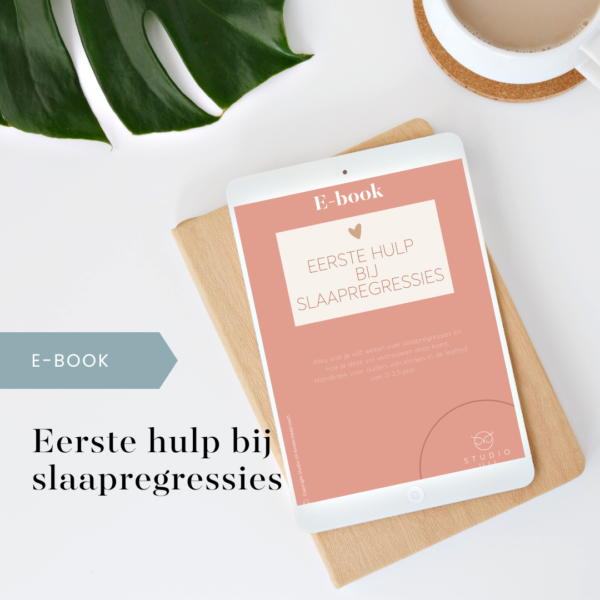 E-book: Eerste hulp bij slaapregressies - Studio Uil
